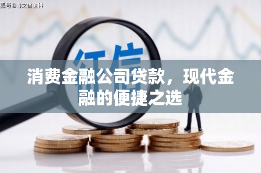 芳苑消费金融公司贷款，现代金融的便捷之选
