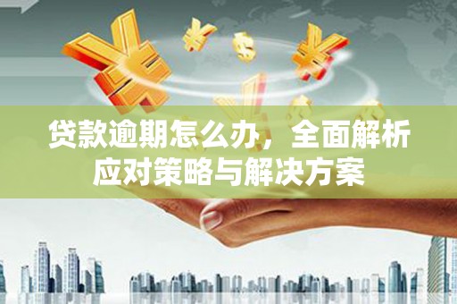 民丰贷款逾期怎么办，全面解析应对策略与解决方案
