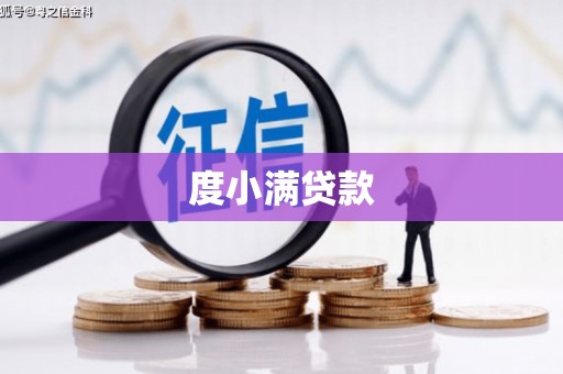 灵山度小满贷款
