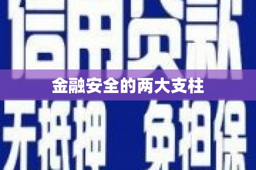 杂多金融安全的两大支柱