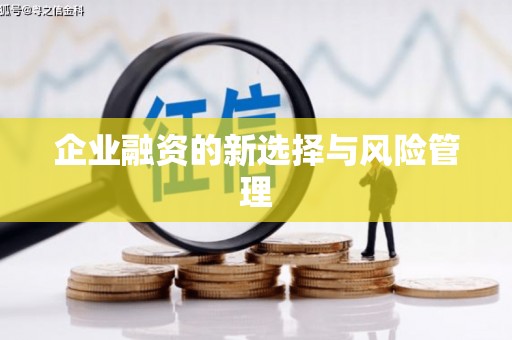 南阳企业融资的新选择与风险管理