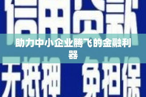 靖西助力中小企业腾飞的金融利器
