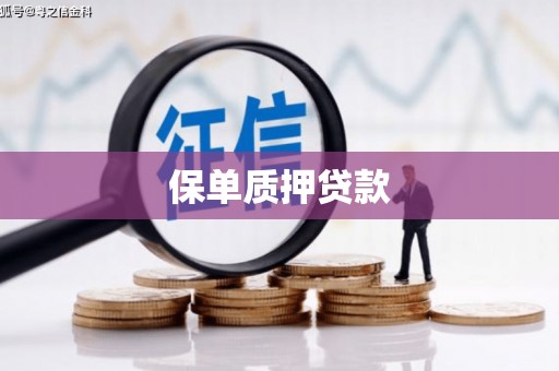 天元保单质押贷款