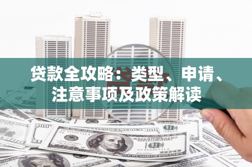 射阳贷款全攻略：类型、申请、注意事项及政策解读