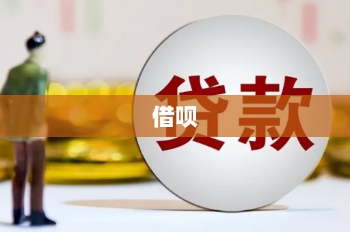 漯河借呗
