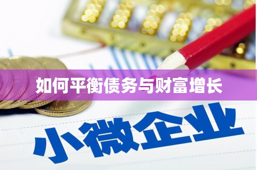 虎林如何平衡债务与财富增长